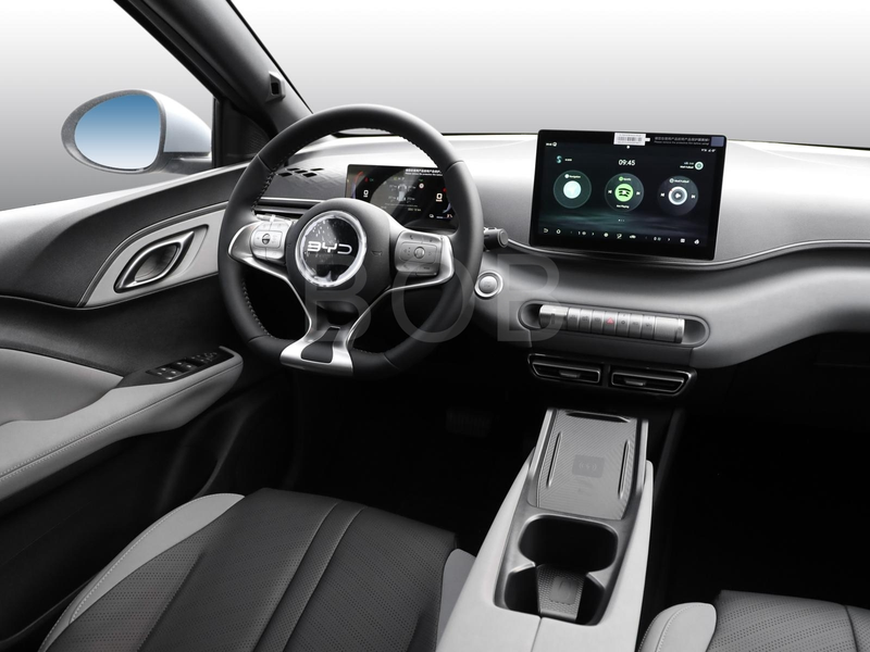 BYD Dolphin SURF Comfort NAVI SHZ PDC KLIMA LM — photo 6
