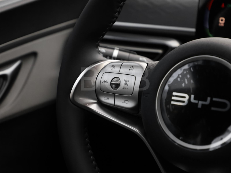 BYD Dolphin SURF Comfort NAVI SHZ PDC KLIMA LM — photo 10