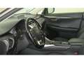 Lexus NX 450h+ SUV EXECUTIVE 4WD 2.5 Híbrido Gasolina (197CV) Tr - thumbnail 8