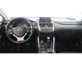 Lexus NX 450h+ SUV EXECUTIVE 4WD 2.5 Híbrido Gasolina (197CV) Tr - thumbnail 11
