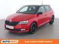 Skoda Fabia 1.0 TSI Monte Carlo Rot - thumbnail 1