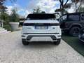 Land Rover Range Rover Evoque 2.0d i4 mhev R-Dynamic awd 163cv auto N1 autocarro Blanc - thumbnail 15