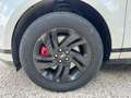 Land Rover Range Rover Evoque 2.0d i4 mhev R-Dynamic awd 163cv auto N1 autocarro Blanc - thumbnail 17