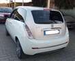 Lancia Ypsilon Ypsilon 1.3 mjt Platino 100 dfn Bianco - thumbnail 4