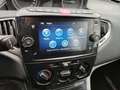 Lancia Ypsilon 1.0 FIREFLY HYBRID GOLD 5P 70CV. "OK NEOPATENTATI" Bleu - thumbnail 8