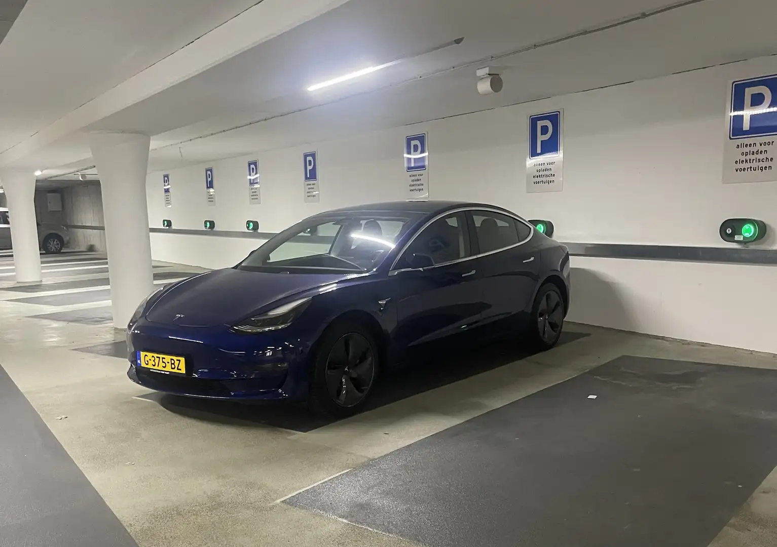 Tesla Model 3 Stnd.RWD Plus 60 kWh Blauw - 1