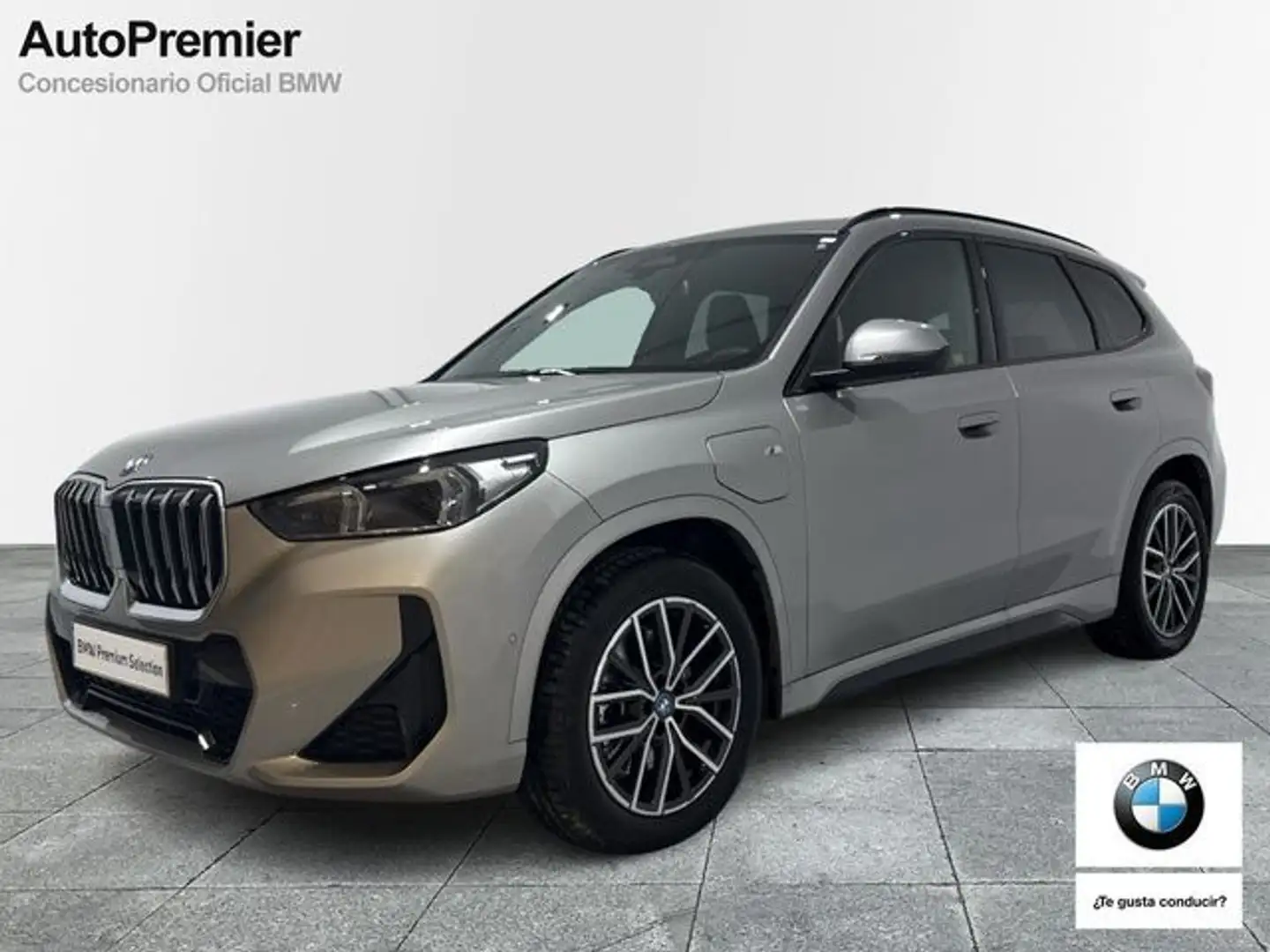 BMW X1 xDrive25eA Argent - 1