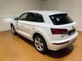 Audi Q5 2.0 TDI 190 CV quattro S tronic Business Sport Beyaz - thumbnail 6