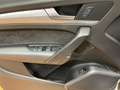 Audi Q5 2.0 TDI 190 CV quattro S tronic Business Sport Білий - thumbnail 18