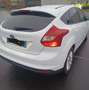 Ford Focus Focus 1.6 TDCi 115 S Blanc - thumbnail 4