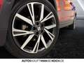 SEAT Arona FR 1.0 TSI LED PDC VO/HI  SHZ NAVI KAMERA TE Rot - thumbnail 17