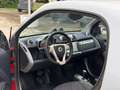 smart forTwo FORTWO 1.0 MHD EURO 5B CARPLAY-MOTORE NUOVO Rood - thumbnail 11