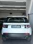 Land Rover Discovery Sport Discovery Sport 2.0 eD4 150 CV 2WD Pure Blanc - thumbnail 6
