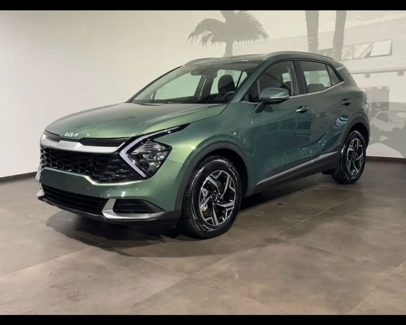 Kia Sportage 4ª serie 1.6 GDI 132 CV 2WD Business Class Vert - 1