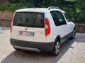 Skoda Roomster Roomster 2010 1.6 tdi cr Scout 90cv Bianco - thumbnail 4