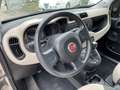 Fiat Panda Panda 1.2 Easy 69cv EURO 6 Beige - thumbnail 9
