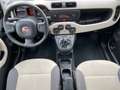 Fiat Panda Panda 1.2 Easy 69cv EURO 6 Beige - thumbnail 13
