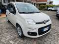 Fiat Panda Panda 1.2 Easy 69cv EURO 6 Beige - thumbnail 5