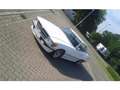 Mercedes-Benz SL 500 4 Sitzer-AMG Optik Pkt orgn. White - thumbnail 7