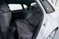 Audi A3 Sportback 1.6TDI Sport Edition 81kW Blanc - thumbnail 30