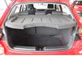 SEAT Ibiza Style 1.0 MPI,Wie Neu,Nur 13067 KM Rot - thumbnail 12