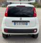 Fiat Panda 0.9 t.air turbo Lounge benzia/metano - ivata Blanco - thumbnail 5