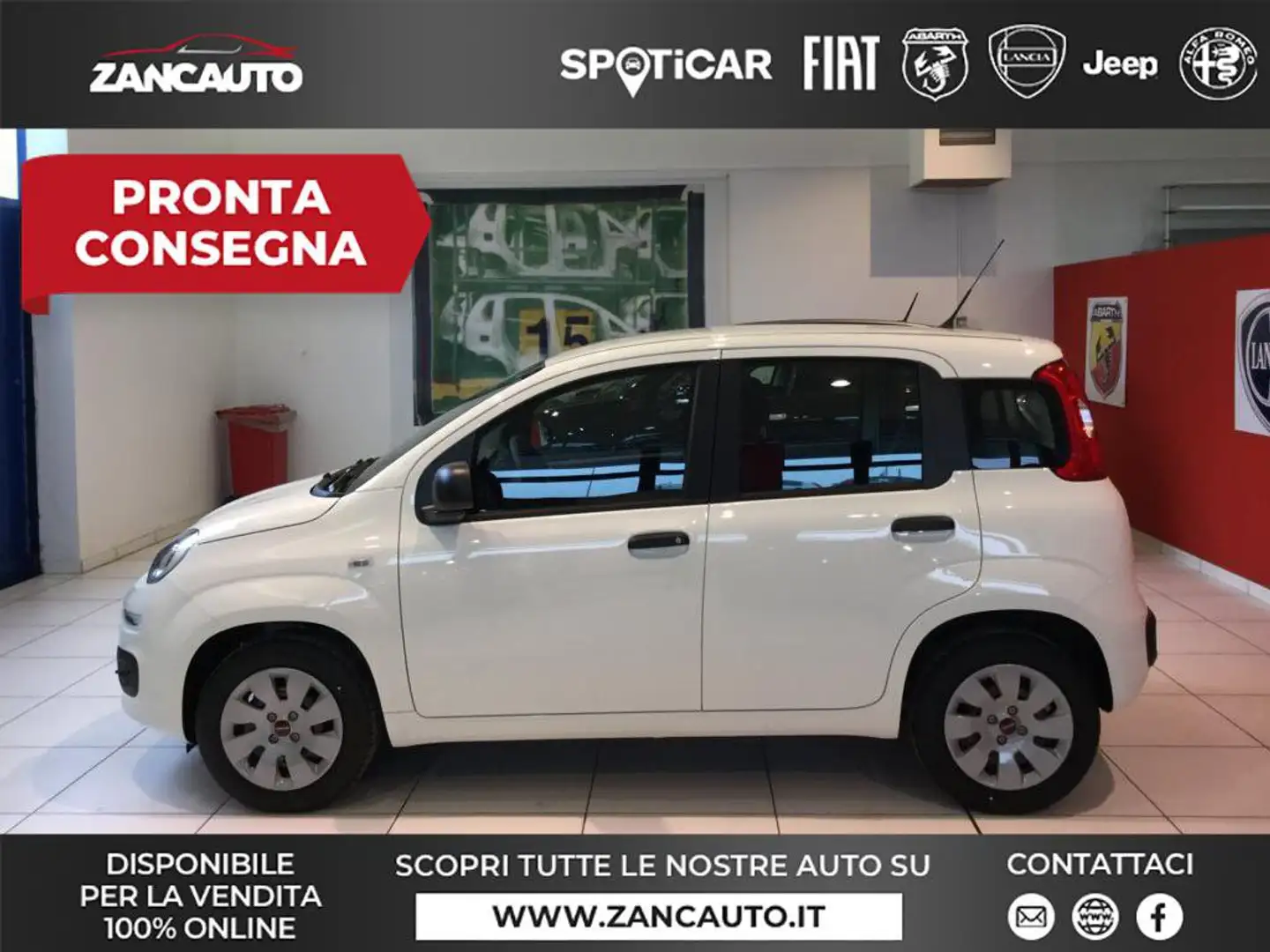 Fiat Panda Panda 1.2 Pop Bianco - 1