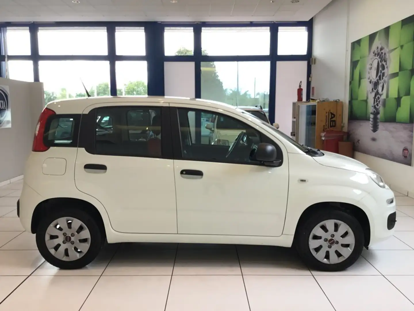 Fiat Panda Panda 1.2 Pop Bianco - 2