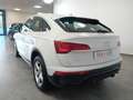 Audi Q5 40 TDI 204 CV quattro S.tr. Advanced Weiß - thumbnail 5