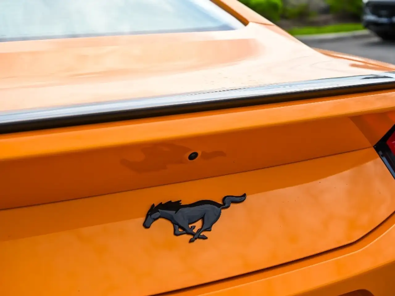 Ford Mustang снимка Ford Mustang