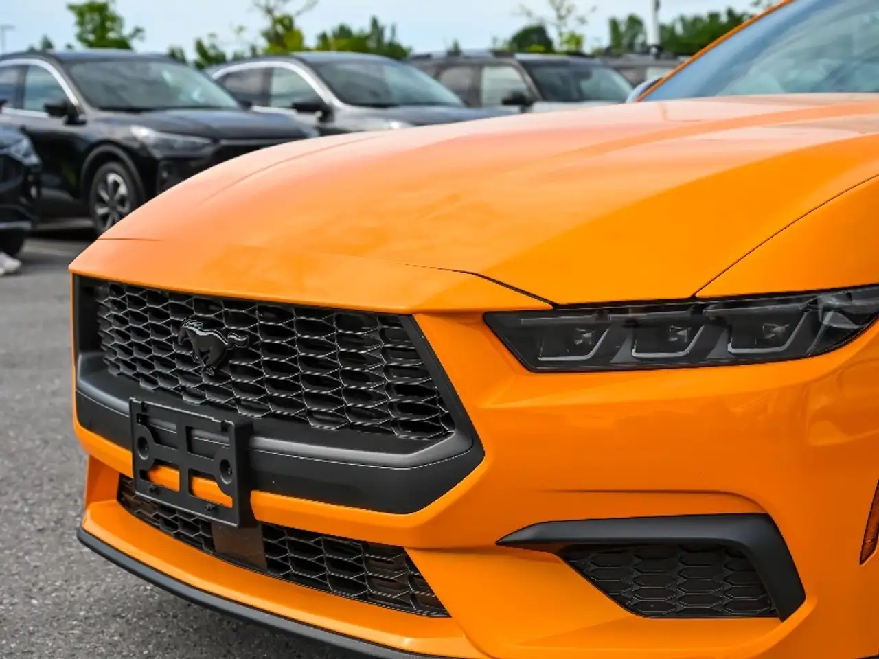Ford Mustang снимка Ford Mustang