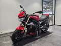 Triumph Street Triple 675 Rouge - thumbnail 4