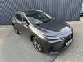 Lexus NX 450h+ AWD Executive / President | Schuif-/kanteldak | So Grijs - thumbnail 10