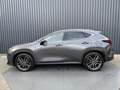 Lexus NX 450h+ AWD Executive / President | Schuif-/kanteldak | So Grijs - thumbnail 16