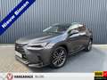 Lexus NX 450h+ AWD Executive / President | Schuif-/kanteldak | So Grijs - thumbnail 1
