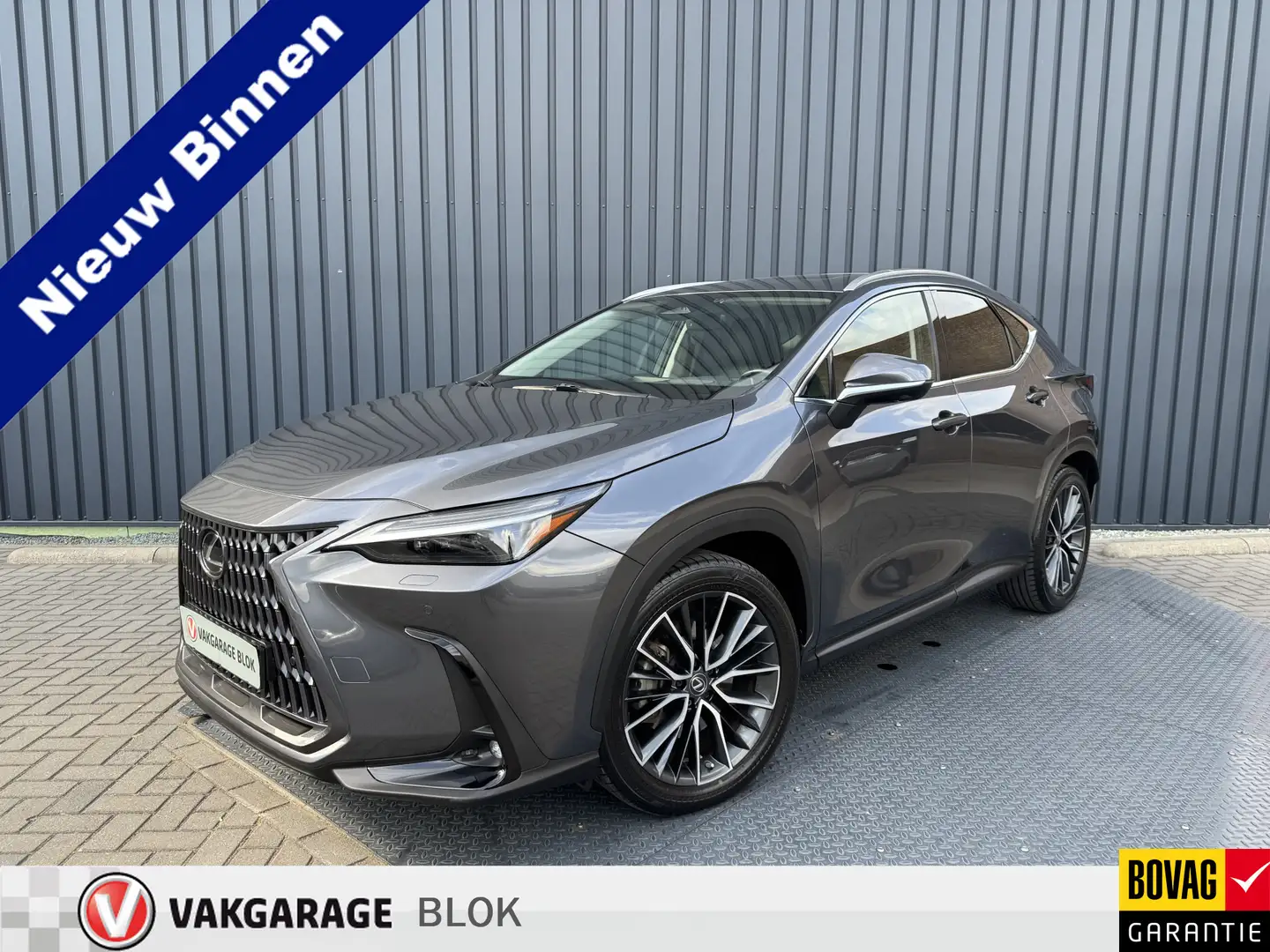 Lexus NX 450h+ AWD Executive / President | Schuif-/kanteldak | So Grijs - 1