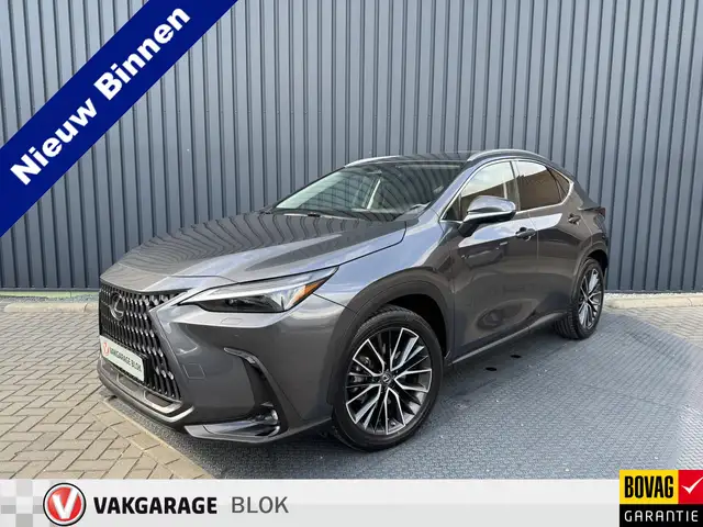 Lexus NX 450h+ AWD Executive / President | Schuif-/kanteldak | So