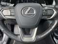 Lexus NX 450h+ AWD Executive / President | Schuif-/kanteldak | So Grijs - thumbnail 29