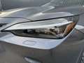 Lexus NX 450h+ AWD Executive / President | Schuif-/kanteldak | So Grijs - thumbnail 8
