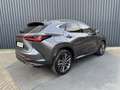 Lexus NX 450h+ AWD Executive / President | Schuif-/kanteldak | So Grijs - thumbnail 12