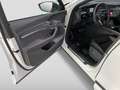 Audi Q8 qua S-Trc HUD Pano 360° Vir Alb - thumbnail 14