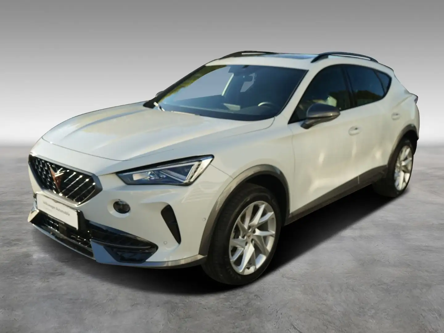 CUPRA Formentor 2.0TDI 4Drive AHK LED Panorama CarPlay Weiß - 2