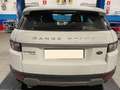 Land Rover Range Rover Evoque 5p 2.2 td4 Pure 150cv 4X4 Bianco - thumbnail 2