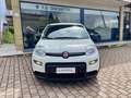 Fiat Panda 1.0 FireFly S&S Hybrid - KM0 Blanc - thumbnail 2