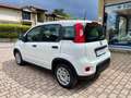 Fiat Panda 1.0 FireFly S&S Hybrid - KM0 Wit - thumbnail 6