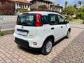 Fiat Panda 1.0 FireFly S&S Hybrid - KM0 Bianco - thumbnail 4