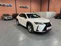 Lexus UX 250h Business Navigation 2WD Blanco - thumbnail 3