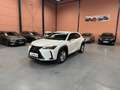 Lexus UX 250h Business Navigation 2WD Blanco - thumbnail 1