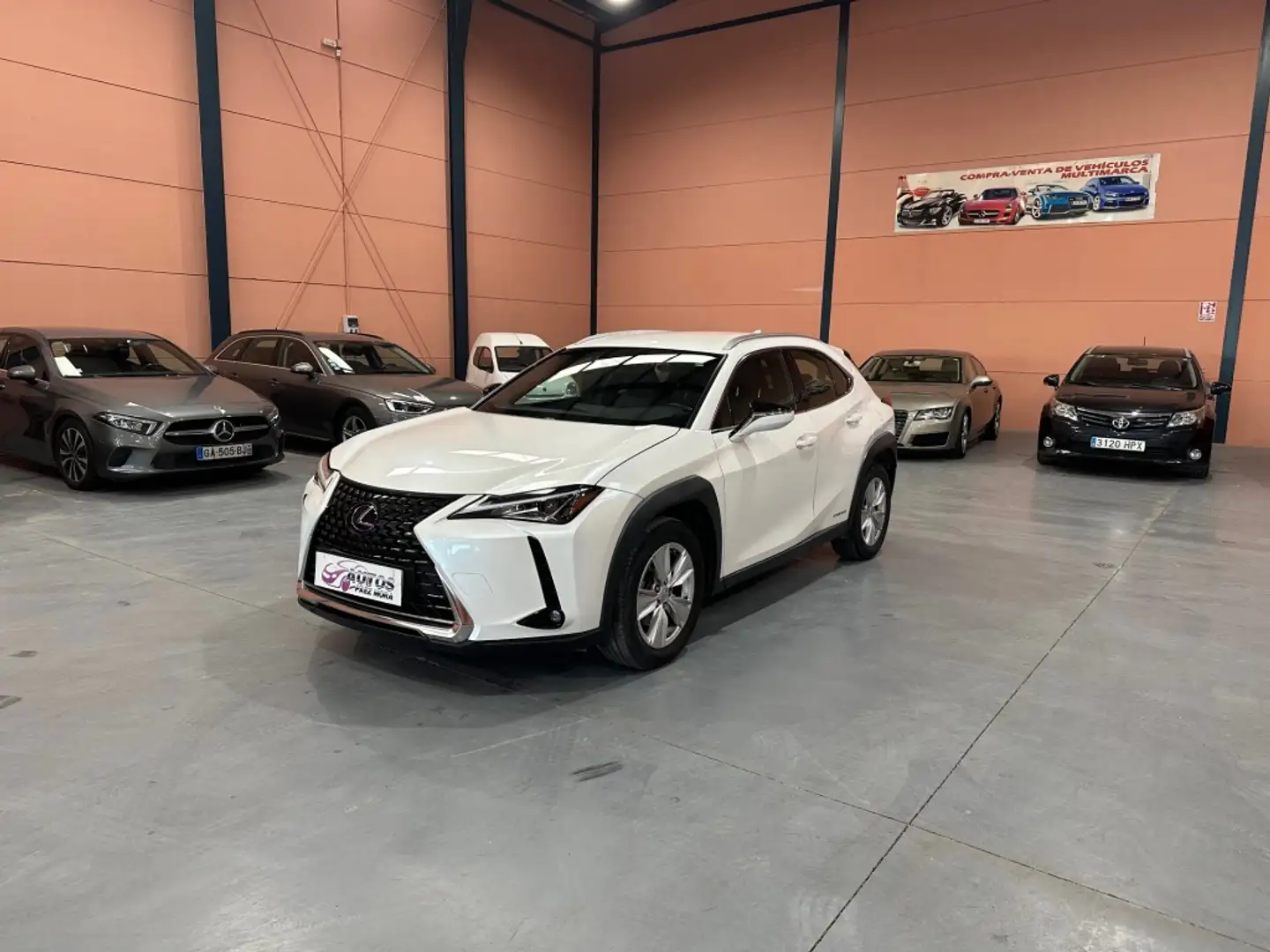 Lexus UX 250h Business Navigation 2WD Blanco - 1
