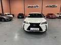 Lexus UX 250h Business Navigation 2WD Blanco - thumbnail 2